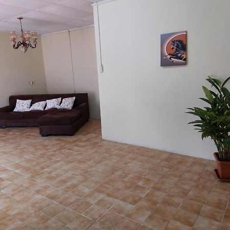Mi Hogar Apartment Julianadorp Exterior foto