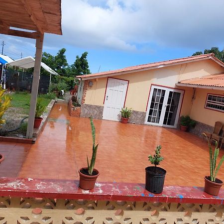 Mi Hogar Apartment Julianadorp Exterior foto
